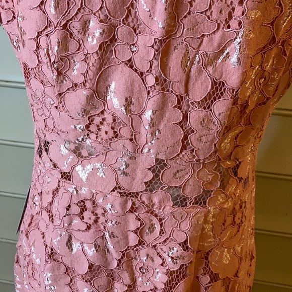 NWT NSR Lace Pink Sheath Dress Short Sleeve - Picture 7 of 10